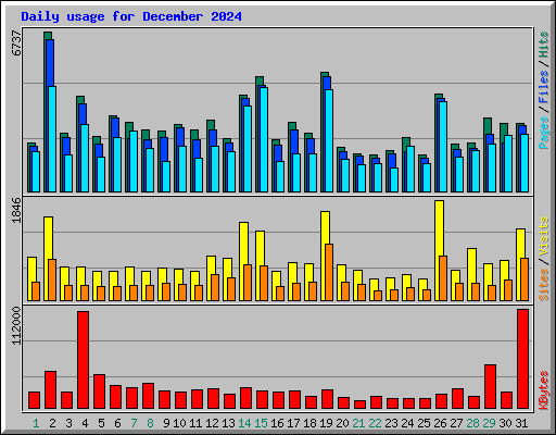 Daily usage for December 2024