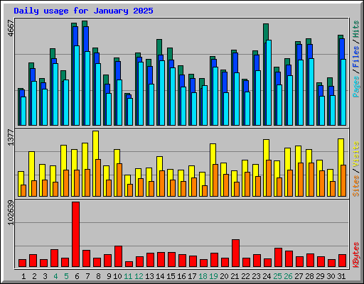 Daily usage for January 2025