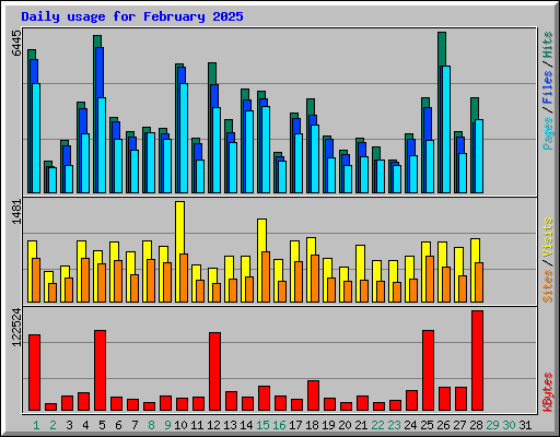 Daily usage for February 2025