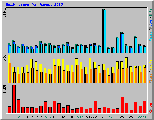 Daily usage for August 2025