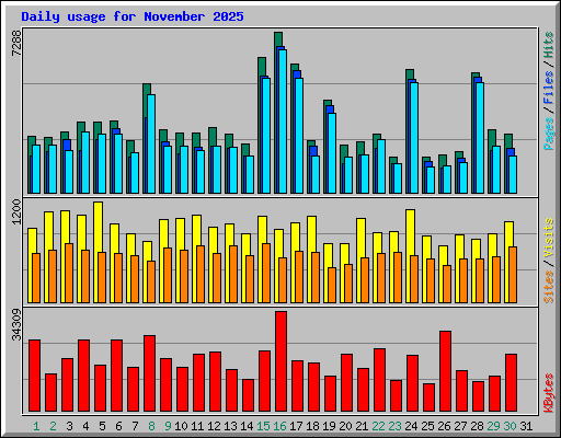 Daily usage for November 2025