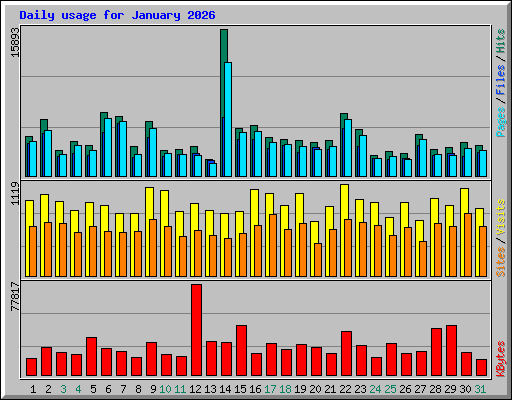 Daily usage for January 2026