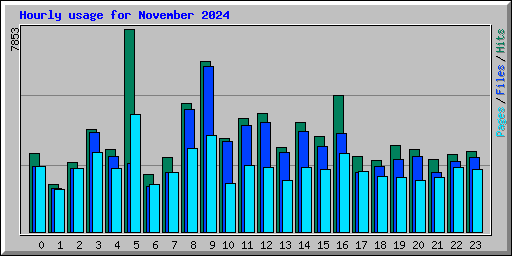 Hourly usage for November 2024
