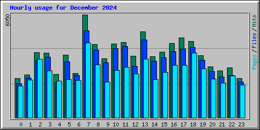 Hourly usage for December 2024