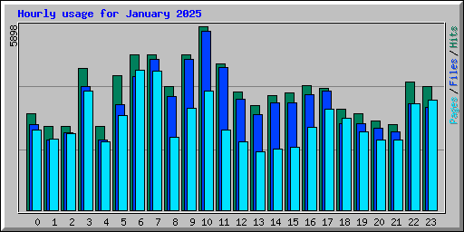 Hourly usage for January 2025
