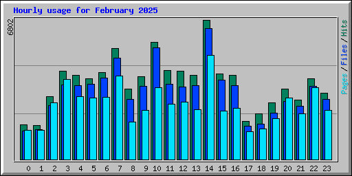 Hourly usage for February 2025