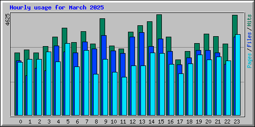 Hourly usage for March 2025