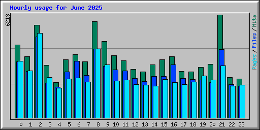 Hourly usage for June 2025