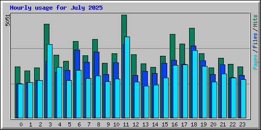 Hourly usage for July 2025
