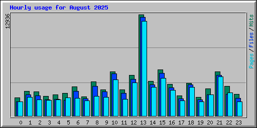 Hourly usage for August 2025