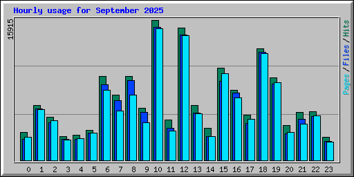 Hourly usage for September 2025