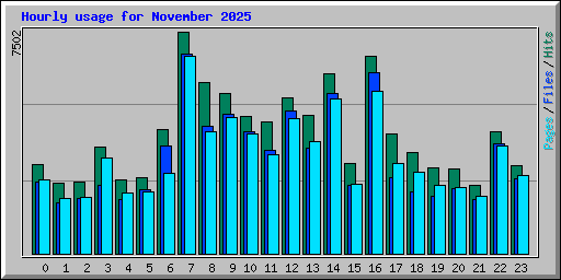 Hourly usage for November 2025