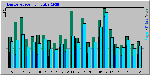 Hourly usage for July 2026