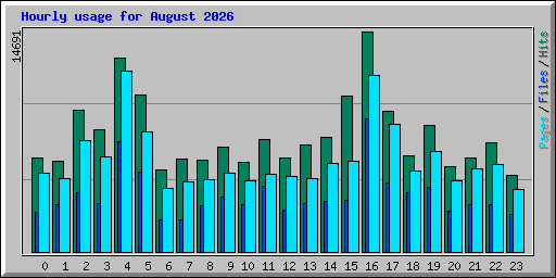 Hourly usage for August 2026